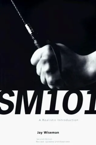 Cover of SM 101: A Realistic Introduction